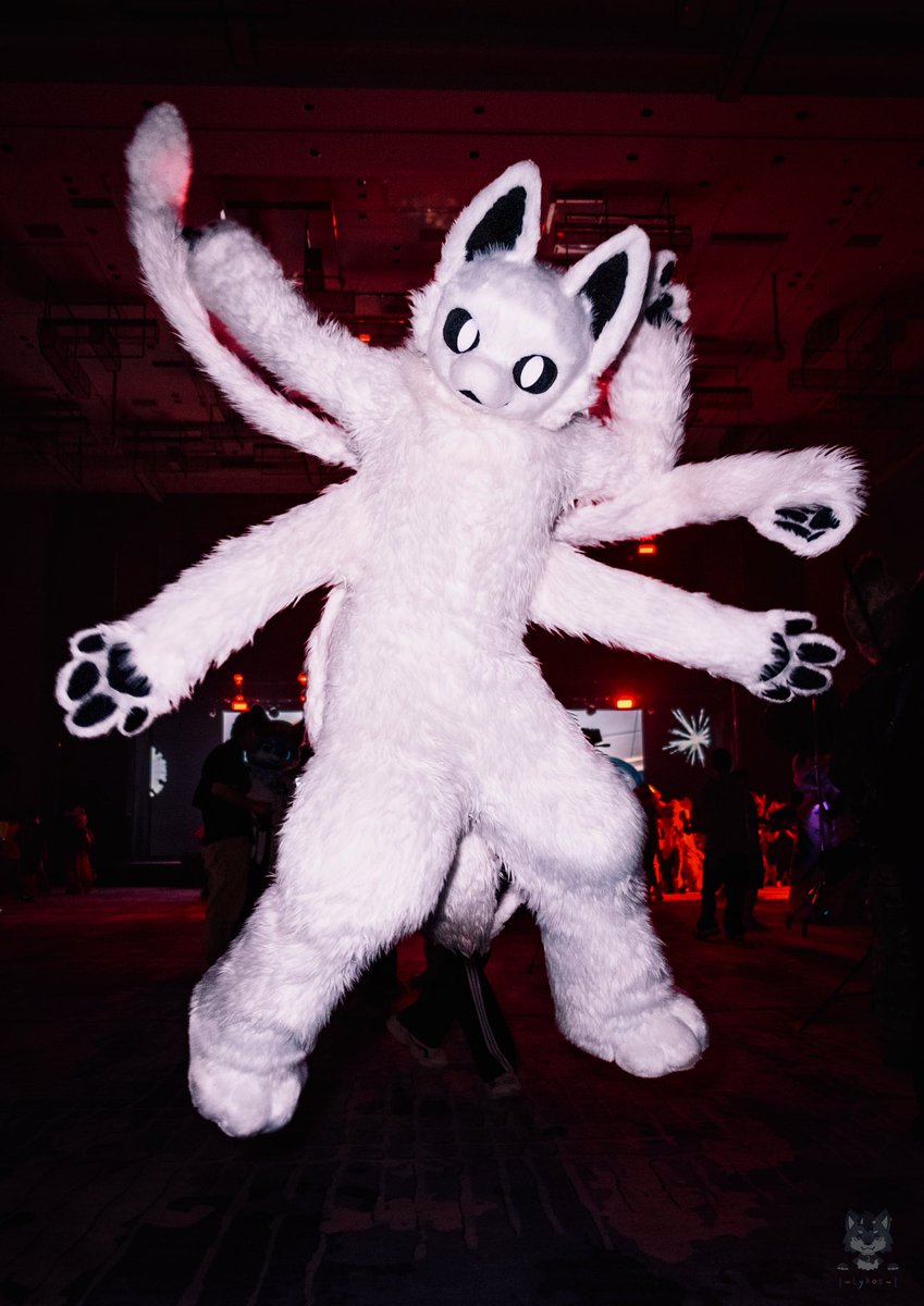 BDISCAT's tweet photo. I can fly！
📷：Lykos https://t.co/FU6srGhK3r