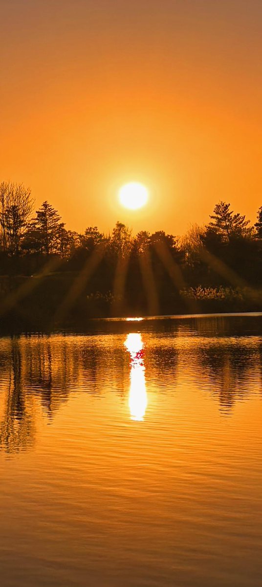 LisaMoore930550's tweet photo. Our campus photography club invites you to join the sunset shoot this Friday by the lake—chill vibes, great shots, and free snacks! Tag a friend who loves taking pics! https://t.co/TrNAGLbSO4