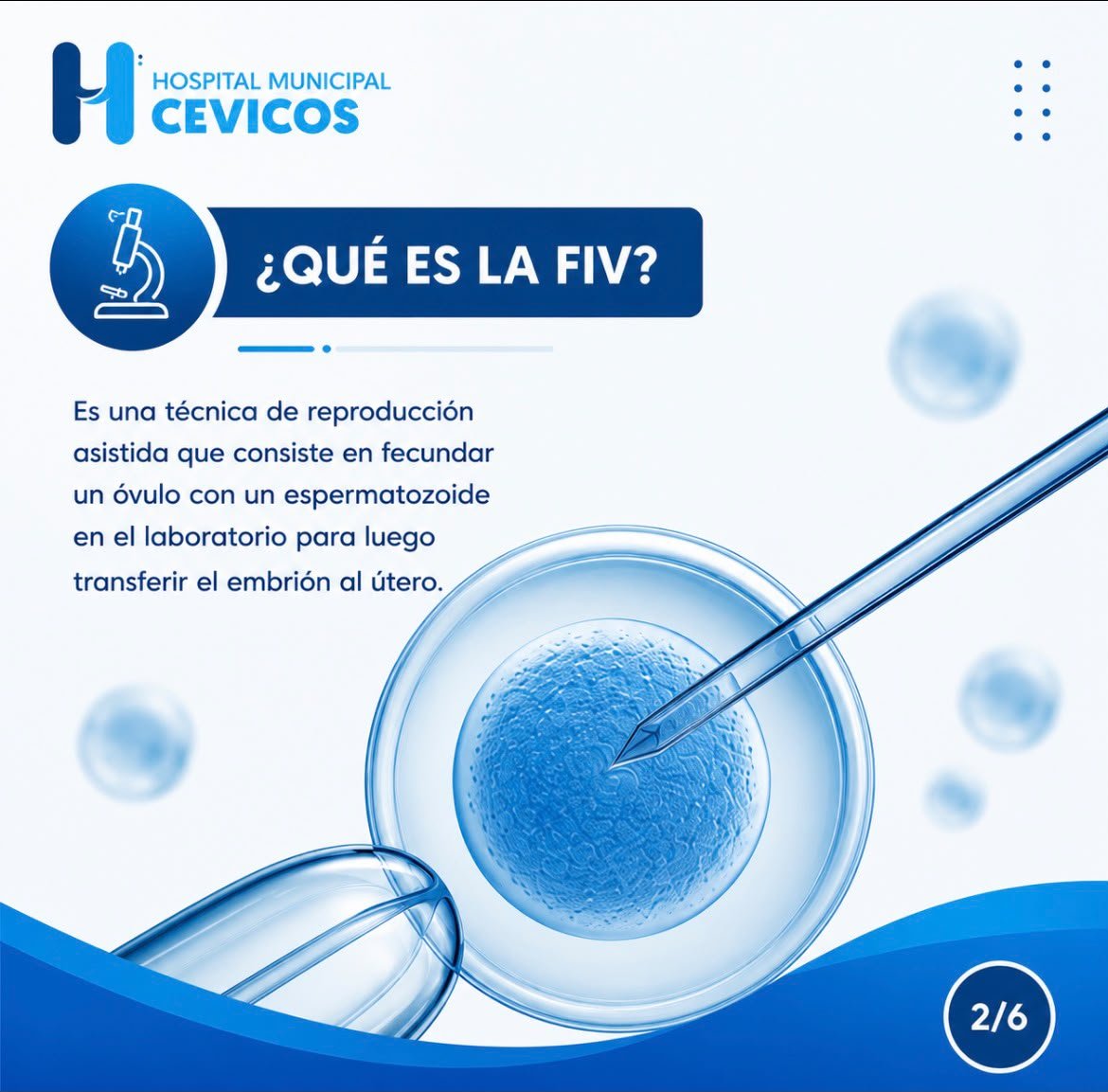 HCevicos's tweet photo. La fecundación in vitro (FIV) ha brindado una nueva oportunidad a miles de personas y familias que desean cumplir el sueño de tener un hijo. 

#DíaMundialDeLaFIV #SaludReproductiva #FecundaciónInVitro #Infertilidad #EducaciónEnSalud #HospitalMunicipalCevicos #SaludParaTodos https://t.co/HCdELQpokn