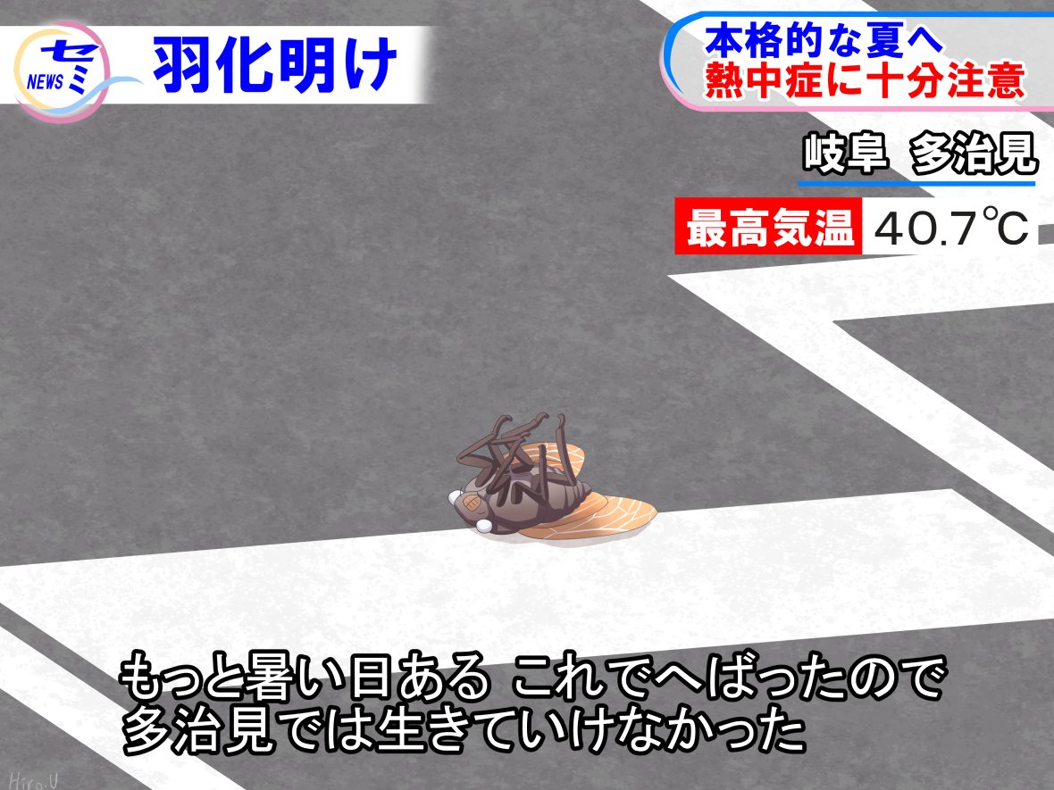 浦口ひいろ tweet media
