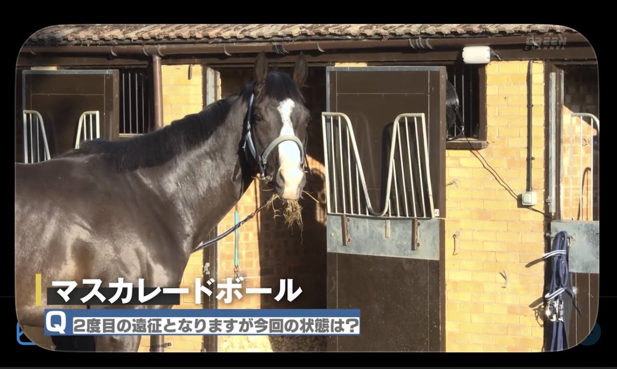 AirGro1ve's tweet photo. ボール可愛すぎるやろwwww https://t.co/PaJACSRtfE