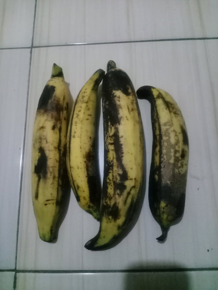 LabubuMerah's tweet photo. Pisang tanduk madu, pisang agung. 
Yang paling gede itu 600 gram lebih, 
Jadi sekilo isi 2 saja. 
Aku sukanya di kukus. Manis.
Kalau beli di pasar satunya 4k - 12k tergantung berat. 
Kalau beli online sekilonya 16k 
Kalau ini gratis, hasil dari kebon mbah kung 💚👌🏻 https://t.co/uFCNF9oSOl