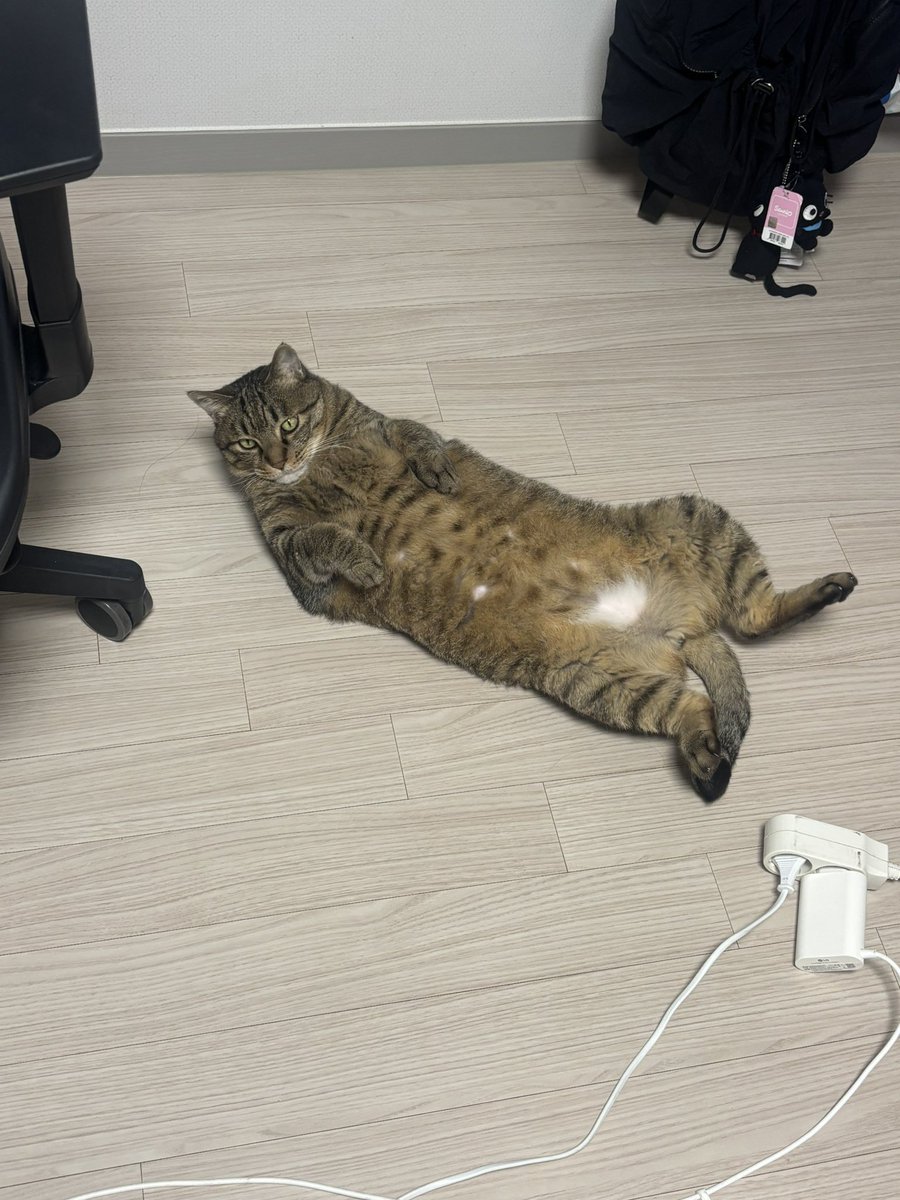suruisbig's tweet photo. 어쩜이렇게예쁘니 https://t.co/wpDK0hTJF9