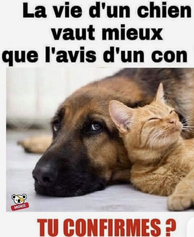 christinemfx's tweet photo. @Ad_Vitam44_ Dédicace a @gregtabibian https://t.co/IMO1P6Dqs5