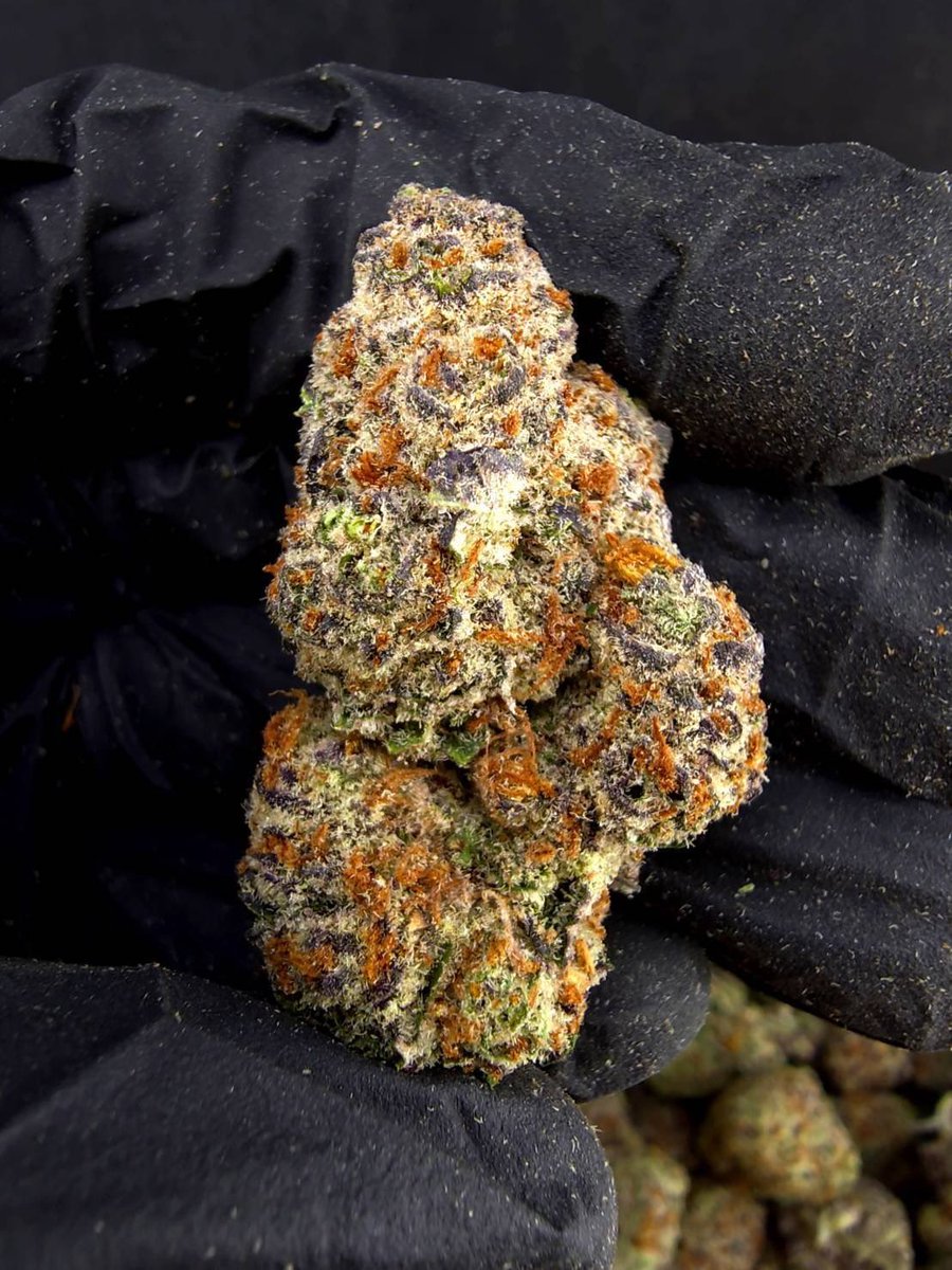 Dizc024420's tweet photo. ☃️【 💡 Indoor • GACP Extra 🪴 】🇹🇭
🥦Size Top❄️✨

🔸 Top Black Jelly 🪼💜
🔸 Indica70% 🔸THC27%

Aroma⬇️⬇️
🔺 Blueberry 🫐 Bluecheese 🧀 Fruity 🍇

💸100G = 1,899฿ , 1KG = 14,500฿💸

🛍️สนใจสินค้า @Line 
ทักแชท ตามสั่งได้เลยครับ🔻
Line ID (.) ▶️ 0924153858.

#weed #weedthailand #cannabis #og #กัญชา #กัญชาไทย #สายเขียว #กัญชารังสิต #กัญชาโอจี #กัญชากทม. #ใบทิม