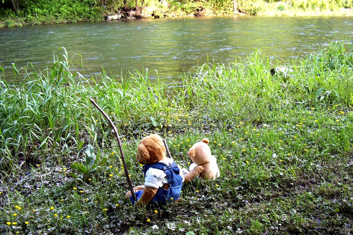 spauldingtbear's tweet photo. @DailyPicTheme2 #Idyllic
#DailyPictureTheme https://t.co/s9sEVyDToW