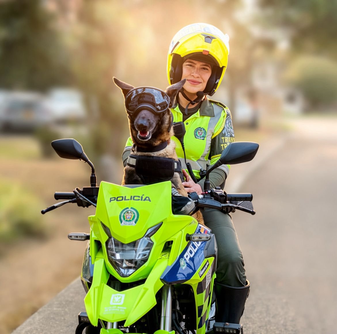 TransitoBta's tweet photo. 🐶💚 En la Policía de Tránsito protegemos la vida en todas sus formas. Cada encuentro con un animal es una oportunidad para demostrar respeto, cuidado y compromiso. Porque servir también es brindar amor y protección a quienes no tienen voz. #ProtegemosLaVida #NoMásExcusas https://t.co/y9F1x9GPLQ