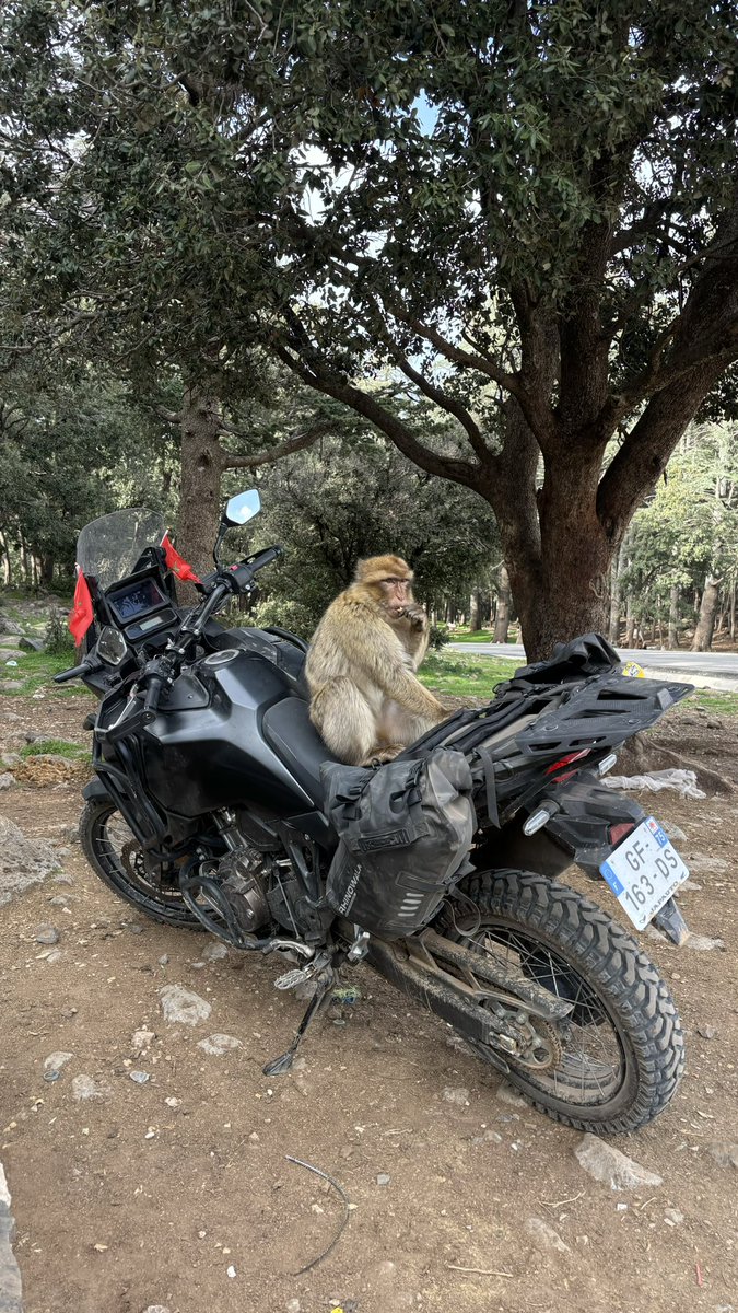 tcs0ff's tweet photo. Selem on fait un tour ? https://t.co/jJm3KM5zZa