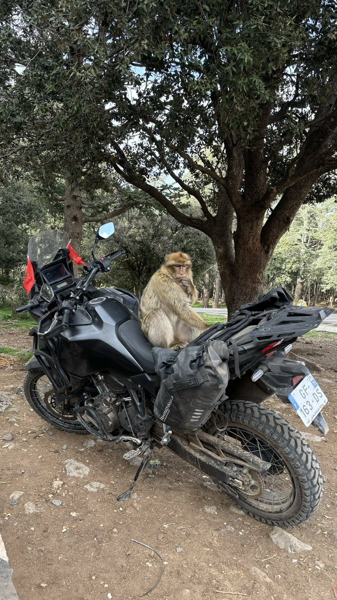 tcs0ff's tweet photo. Selem on fait un tour ? https://t.co/jJm3KM5zZa
