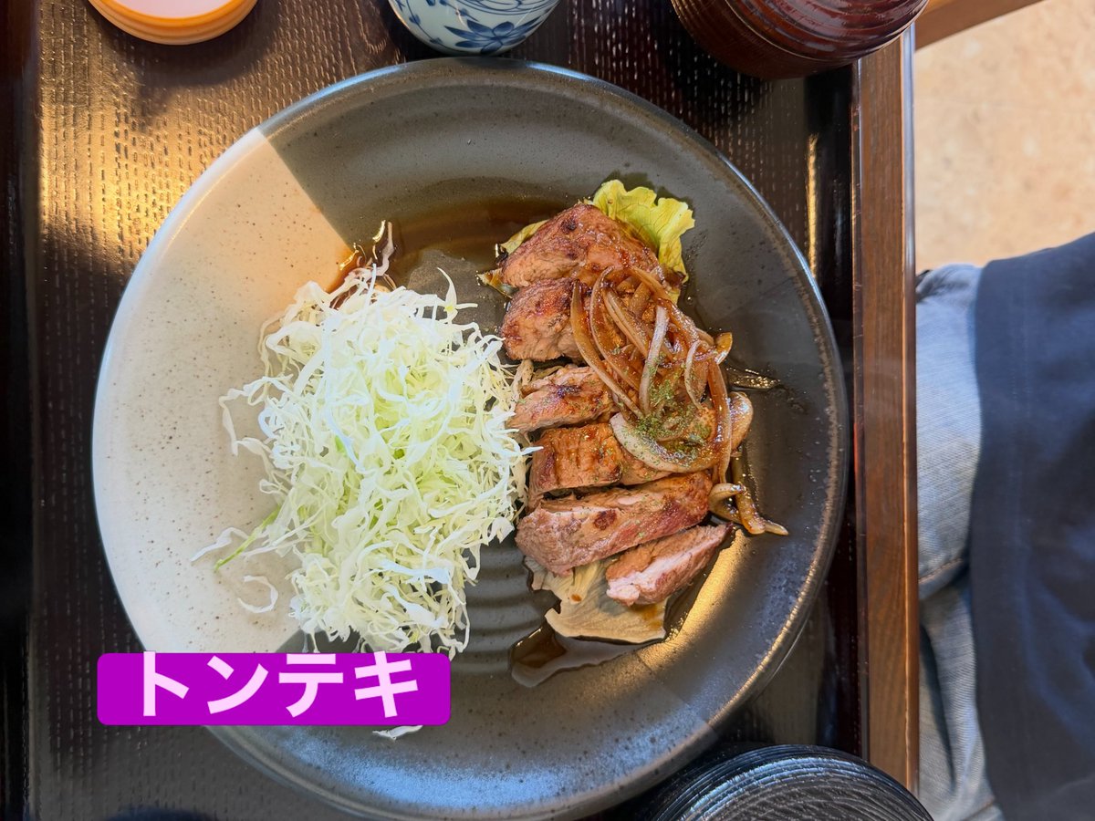 kiki03tm's tweet photo. ヒレカツ丼とトンテキ😋👌 https://t.co/cHshOpOEDm