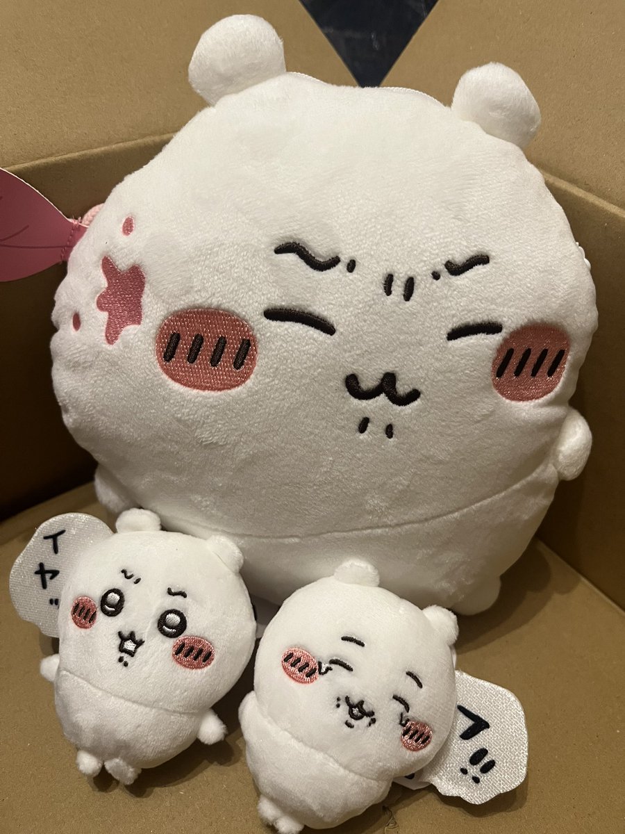bivi2jo's tweet photo. ちいかわだらけくじ届いた！
控えめに3回だけ回したけど、なかなか満足なラインナップで嬉しい🥹✨特に闇落ちフ‼︎が当たって大満足！ https://t.co/8puN8vdpUi