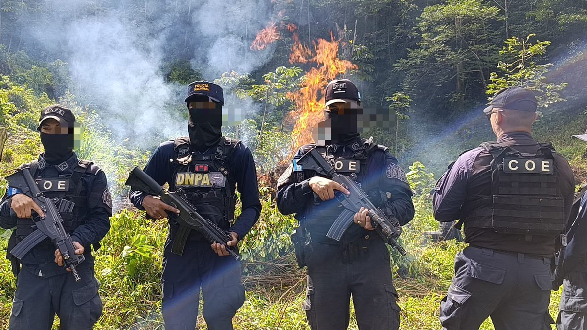 PoliciaHonduras's tweet photo. #ÚLTIMAHORA | Destruimos laboratorio y erradicamos más de 50 mil arbustos de hoja de coca Ejecutamos una operación de ubicación, aseguramiento, erradicación e incineración de una plantación de hoja de coca y un laboratorio rústico en zona montañosa del Parque Sierra Río Tinto https://t.co/39eotrVo2J