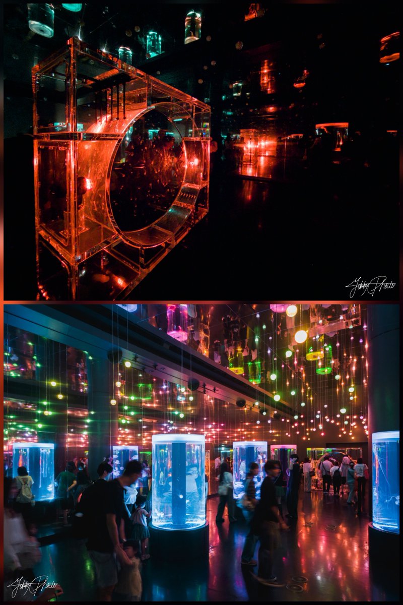 Yakky｜Photography tweet media