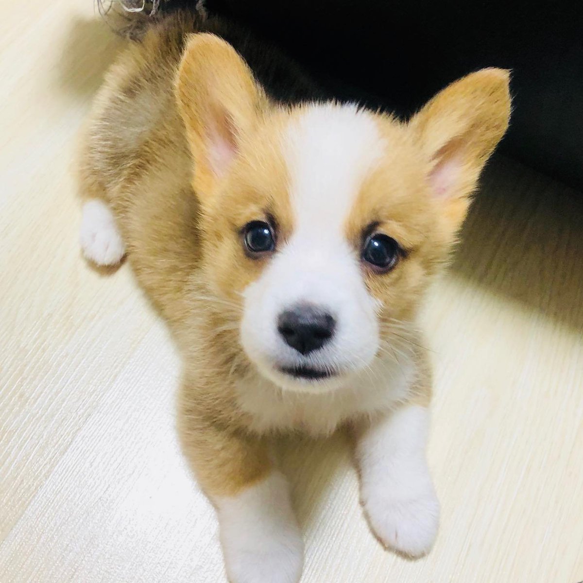 27Dalssem's tweet photo. 성장이란🥰

이랬는데                                        요래됐습니당 https://t.co/dtb02pzgEG
