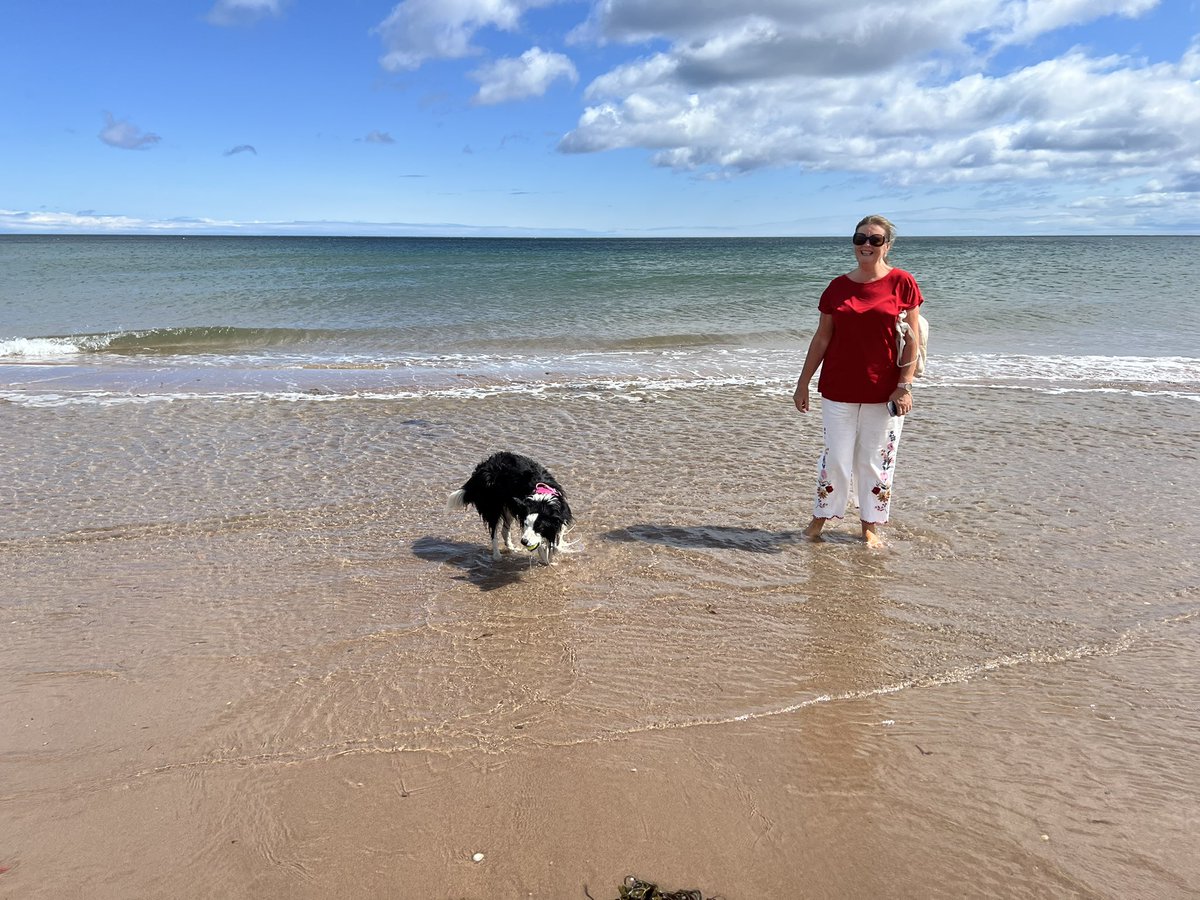 KinlochSusan's tweet photo. Thorntonloch beach on a very windy day βοΈποΈπ΄σ §σ ’σ ³σ £σ ΄σ ΏπΆ#hoolie. #saturday https://t.co/UlkhJQdiw6