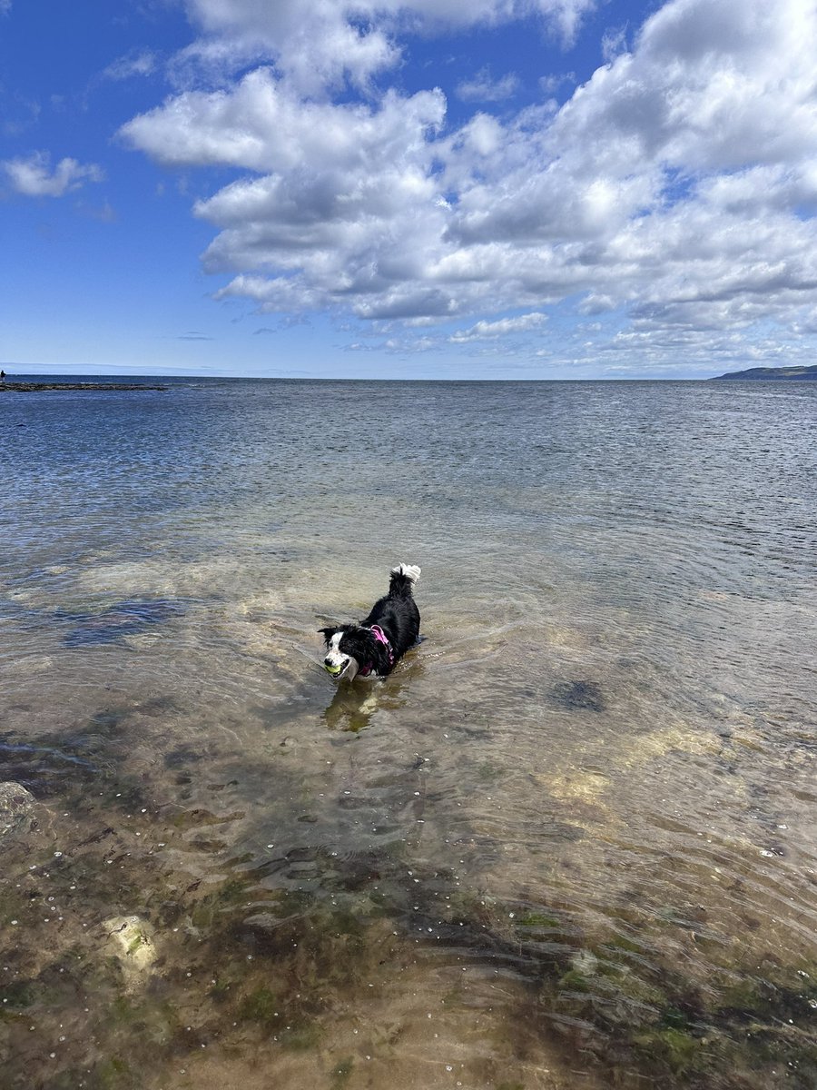 KinlochSusan's tweet photo. Thorntonloch beach on a very windy day βοΈποΈπ΄σ §σ ’σ ³σ £σ ΄σ ΏπΆ#hoolie. #saturday https://t.co/UlkhJQdiw6