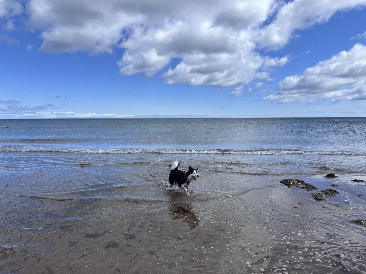 KinlochSusan's tweet photo. Thorntonloch beach on a very windy day βοΈποΈπ΄σ §σ ’σ ³σ £σ ΄σ ΏπΆ#hoolie. #saturday https://t.co/UlkhJQdiw6