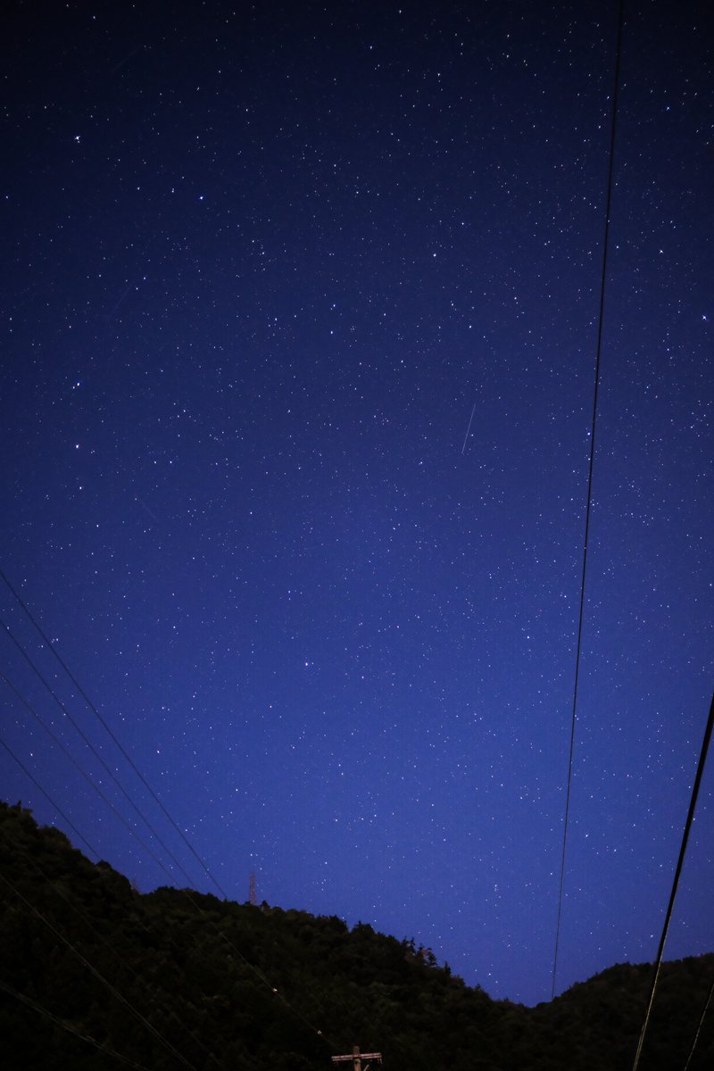 NekosimeID's tweet photo. 田舎の夜空をお届け https://t.co/09HxSlsUox