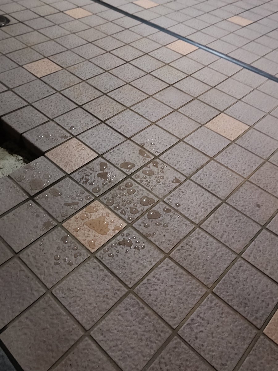 _dachang's tweet photo. 雨やんで観察したらスプレーかかってない部分はもう乾いてて、防水した部分は逆に水が残ってるのおもろいわね https://t.co/2D1Ygmn2Wx