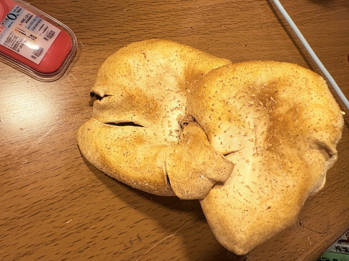 かなるん🍄3 0卒 tweet media