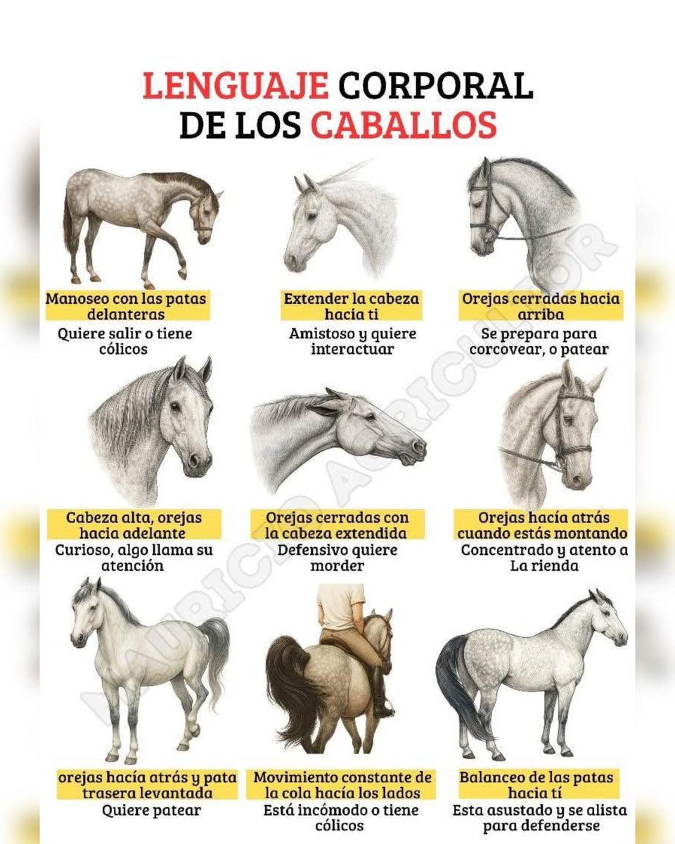 GanaderiayAgro's tweet photo. ¿Lo sabías? https://t.co/qlvRr3mPs6