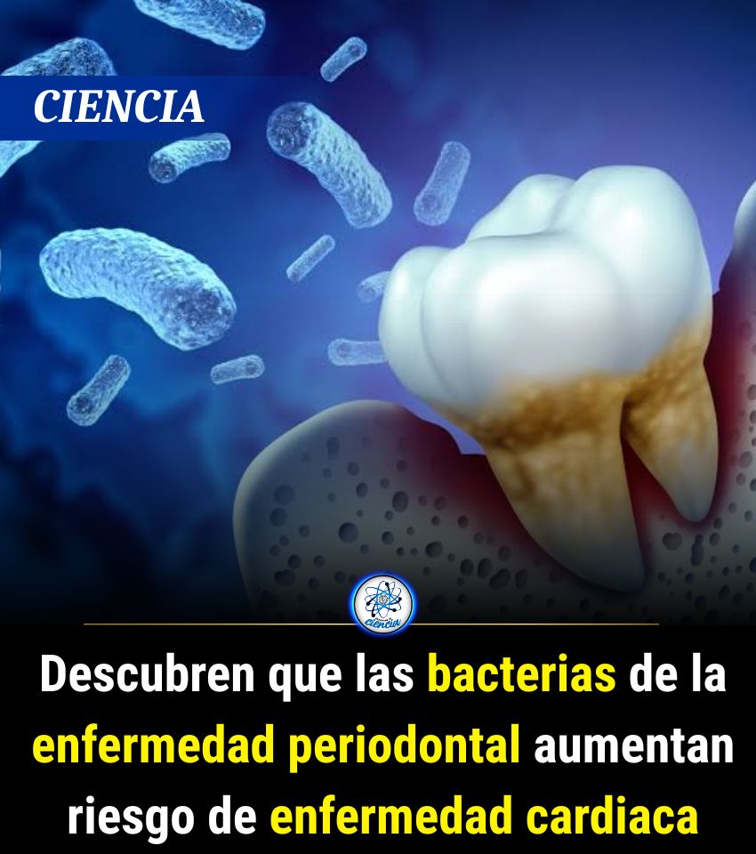 EnsedeCiencia's tweet photo. https://t.co/E1P5JyIn7z