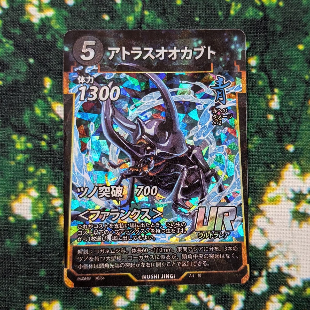 waka64ch's tweet photo. #蟲神器　第8弾に収録されるURアトラスオオカブト、モーレンカンプフオオカブトは、期待のファランクス持ちのカブトムシ。コーカサスオオカブトから展開するにもオススメです！ https://t.co/7Ba6gZwKjG