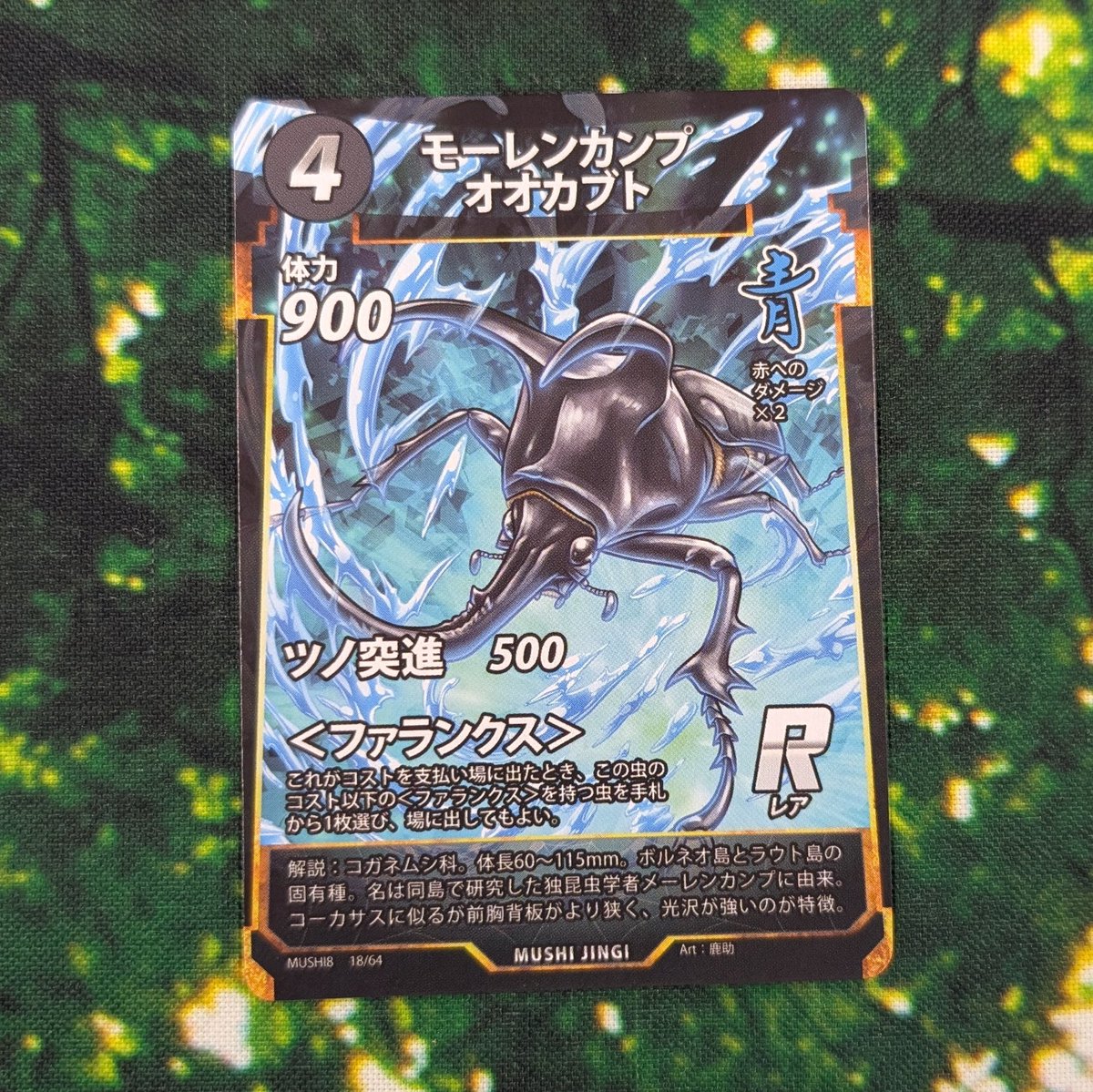 waka64ch's tweet photo. #蟲神器　第8弾に収録されるURアトラスオオカブト、モーレンカンプフオオカブトは、期待のファランクス持ちのカブトムシ。コーカサスオオカブトから展開するにもオススメです！ https://t.co/7Ba6gZwKjG
