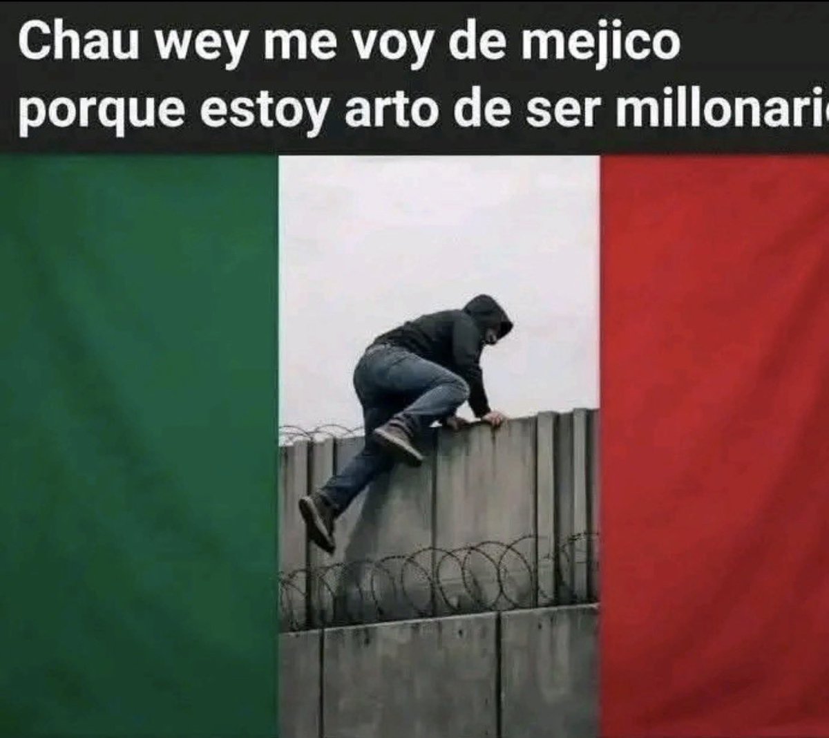 mexichangosaltamuro tweet media