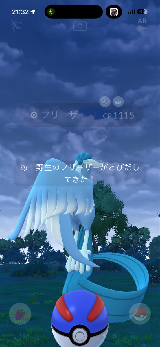 kittyomu333's tweet photo. 2匹目の色違いガラルフリーザー様がいらっしゃって下さいました！！！
あと、マダツボミさんも！
#ポケモンgo色違い #ポケモンGO #PokemonGO #ガラルフリーザー https://t.co/JuAhVObL0H