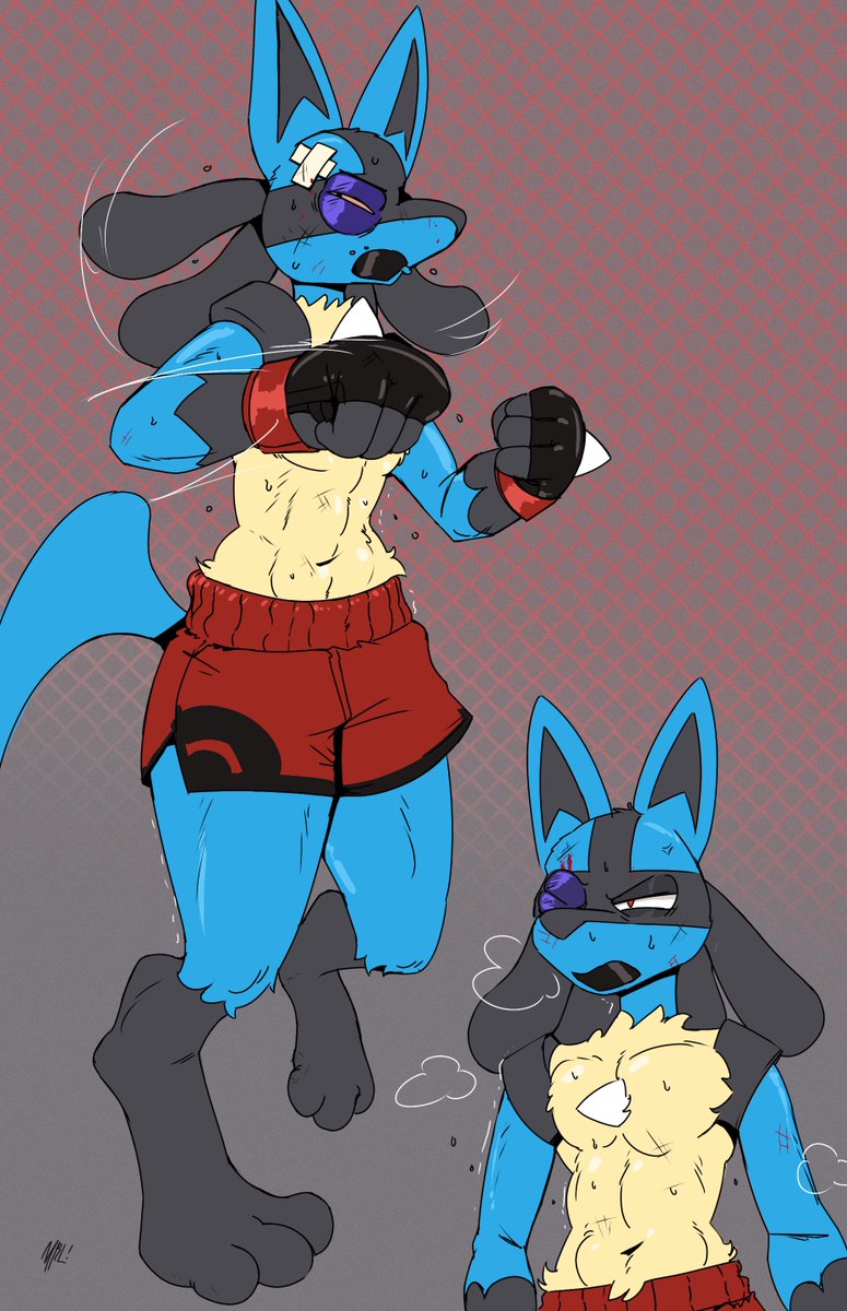 FellowWulf's tweet photo. I wanted more MMA Lucario .c. https://t.co/Dvr0TMN7x3