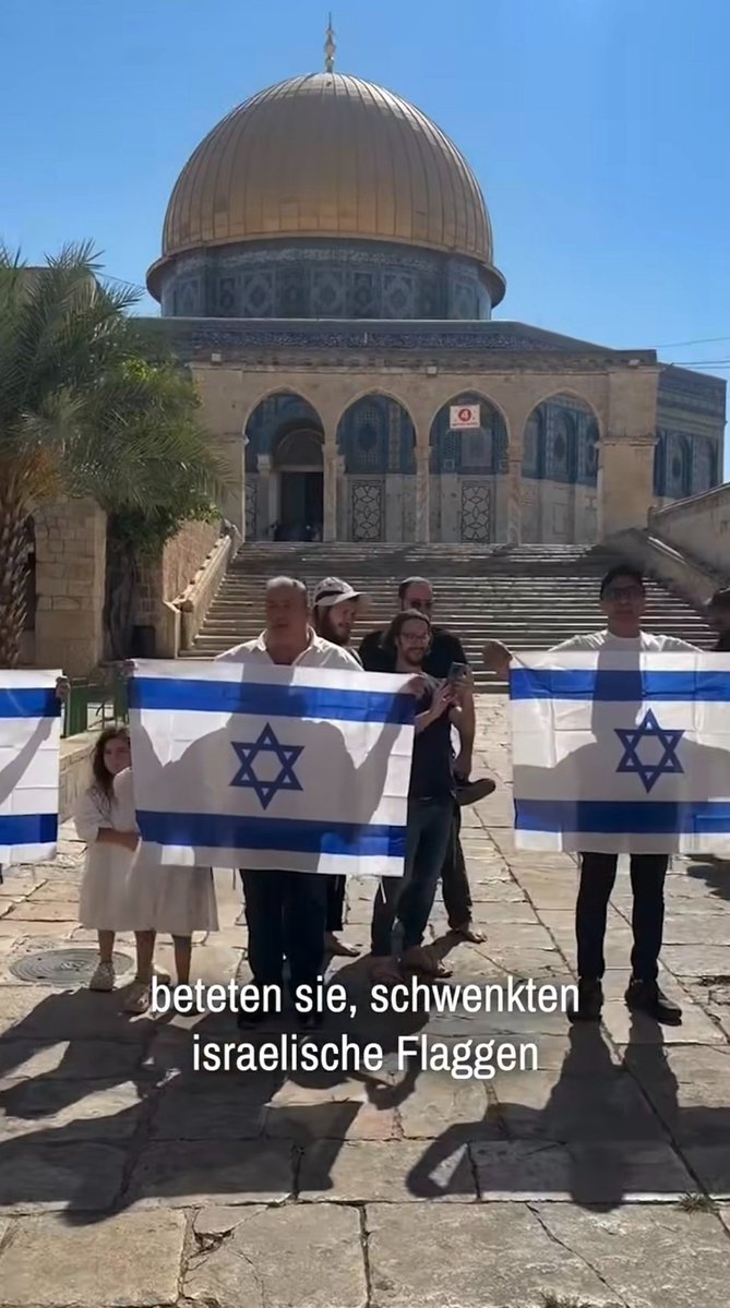 سي مربوح المنتصر 🇵🇸🇪🇦 tweet media