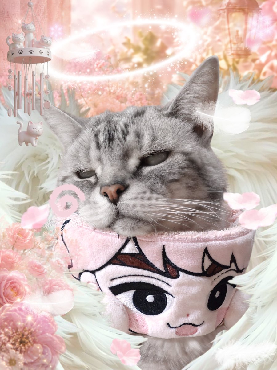 soranosuke29's tweet photo. 最初から
サーティワン情報りょうが、、
(๑ ˊ͈ ᐞ ˋ͈ )

#サクサクヒムヒム https://t.co/MnxSYz4JTL