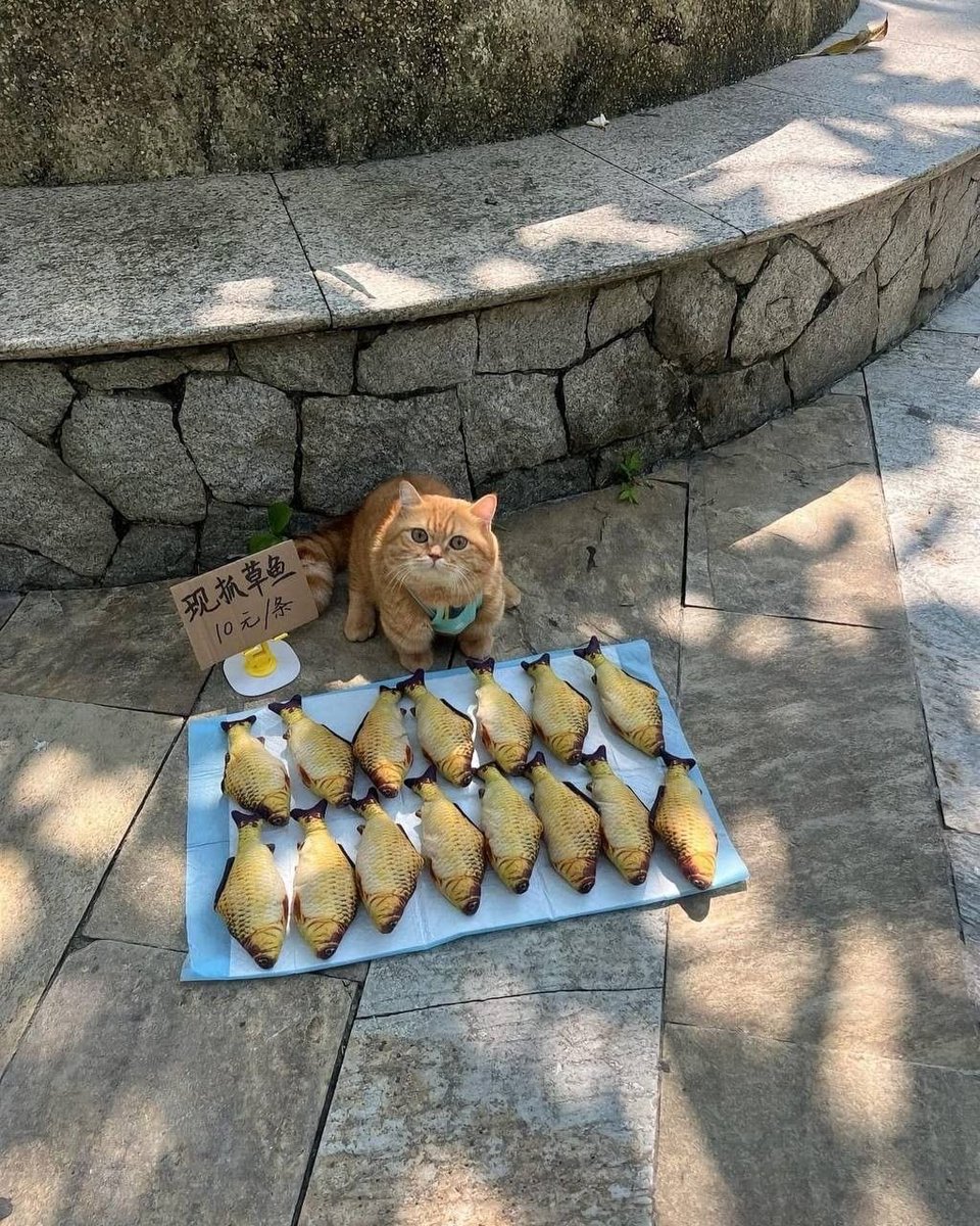 prtygal777's tweet photo. would you support his small business https://t.co/28wT7UbPmB