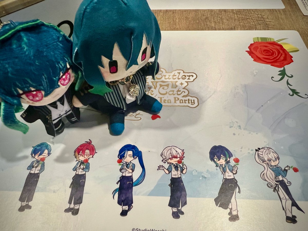 twi823's tweet photo. ありがたいことに、先日あくねこアニカフェへ行ってまいりました！
「レモンとローズマリーのはちみつモクテル」がすごく美味しかったのでオススメです☺️またどこかで飲みたい美味しさでした。
顔面凍結ムーちゃんと、うちのおぬいティンさんと新入りのパルティンちゃん。 https://t.co/IGPz8ThYZh