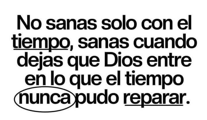 elsiervo__'s tweet photo. 🤍 https://t.co/TxgFMTMa2t