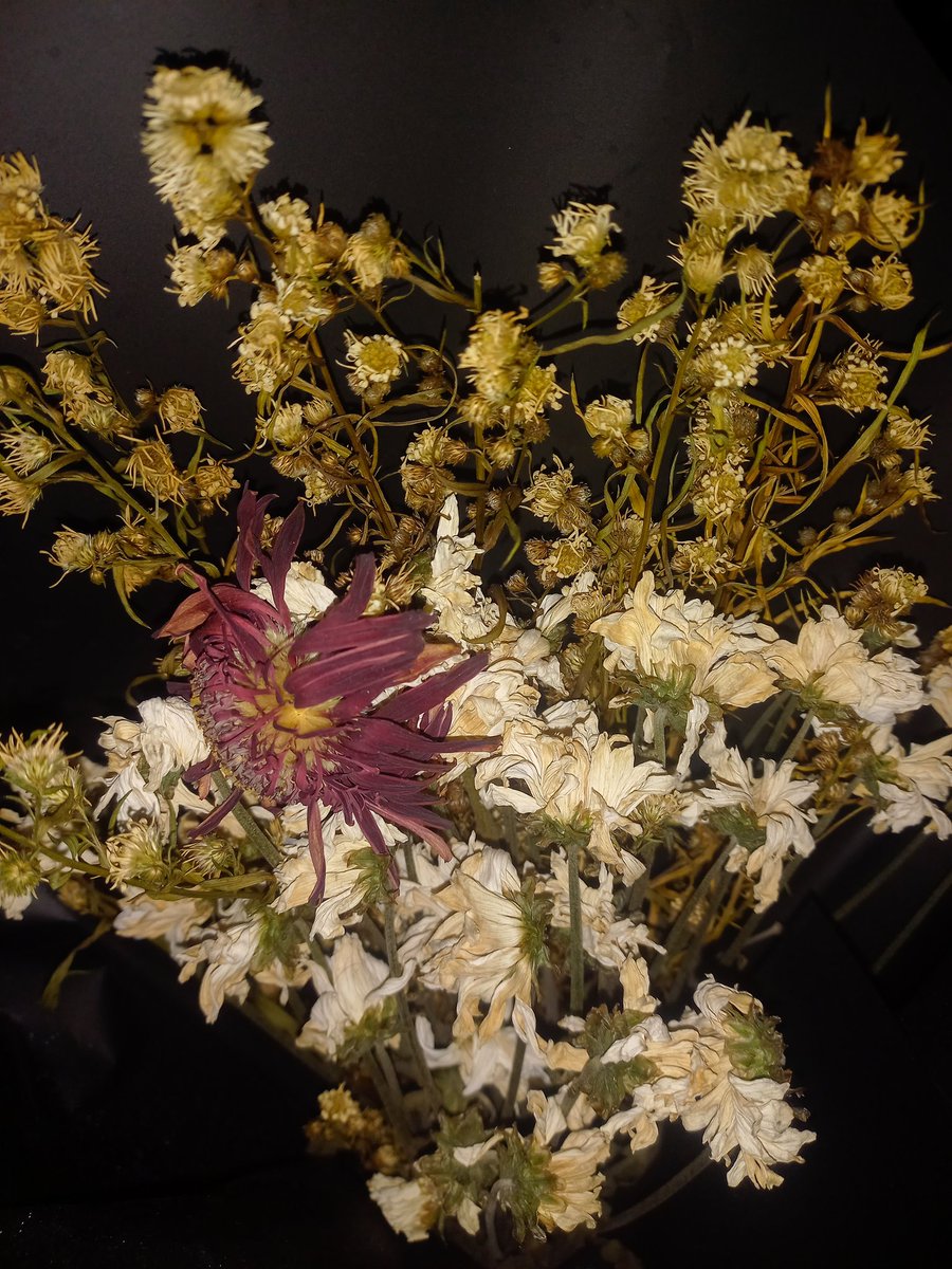 immdontsleep's tweet photo. dried flower kayak lagunya yuuri https://t.co/HSGNQIIQ0W
