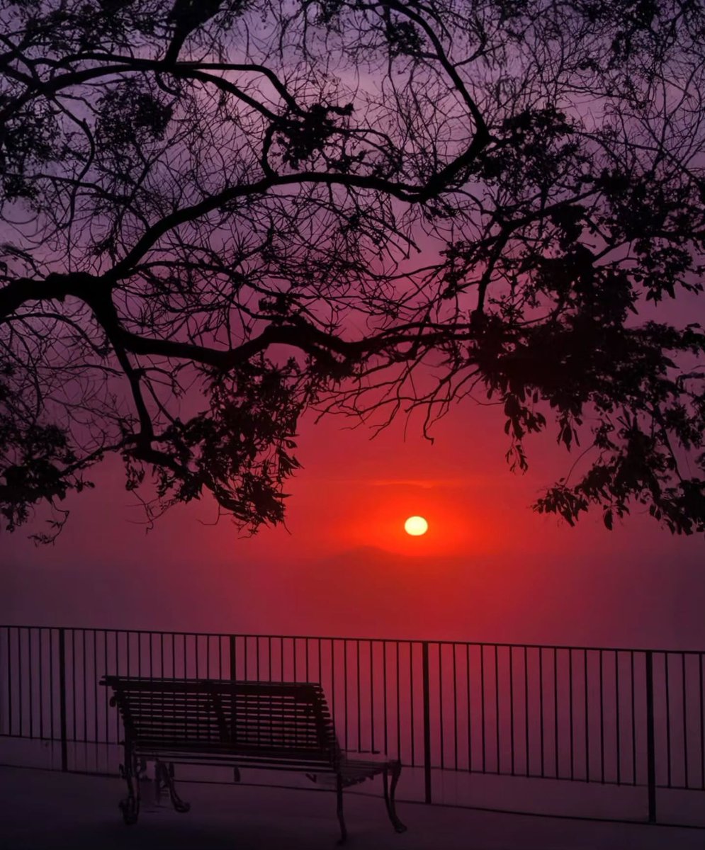 sunset_skyiz7t's tweet photo. ☀️☁️ Sunset_sky_clouds_  Presents :

📸Photo By : @nature_olaug2 
📍Place :#norway 

Please visit his/her wonderful Gallery

🚫ONLY ORIGINAL PHOTOS PLEASE
🌥️☀️☁️☀️☁️☀️☁️☀️☁️☀️☁️☀️

Thank you very much for your great support!

Friend gallery:… https://t.co/us31ztD8nW