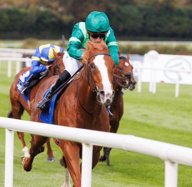 FrankelWatch13's tweet photo. He might not have won but BENVENUTO CELLINI proved that he really belong to this level. 

He was the recipient of some awful remarks all week prior the race, with a lot of people doubting him but he has confirmed he can lock horn with the older horses.

It is exciting going forward.