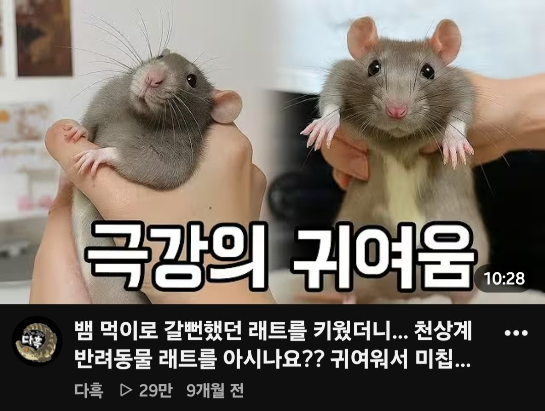 앙고 tweet media