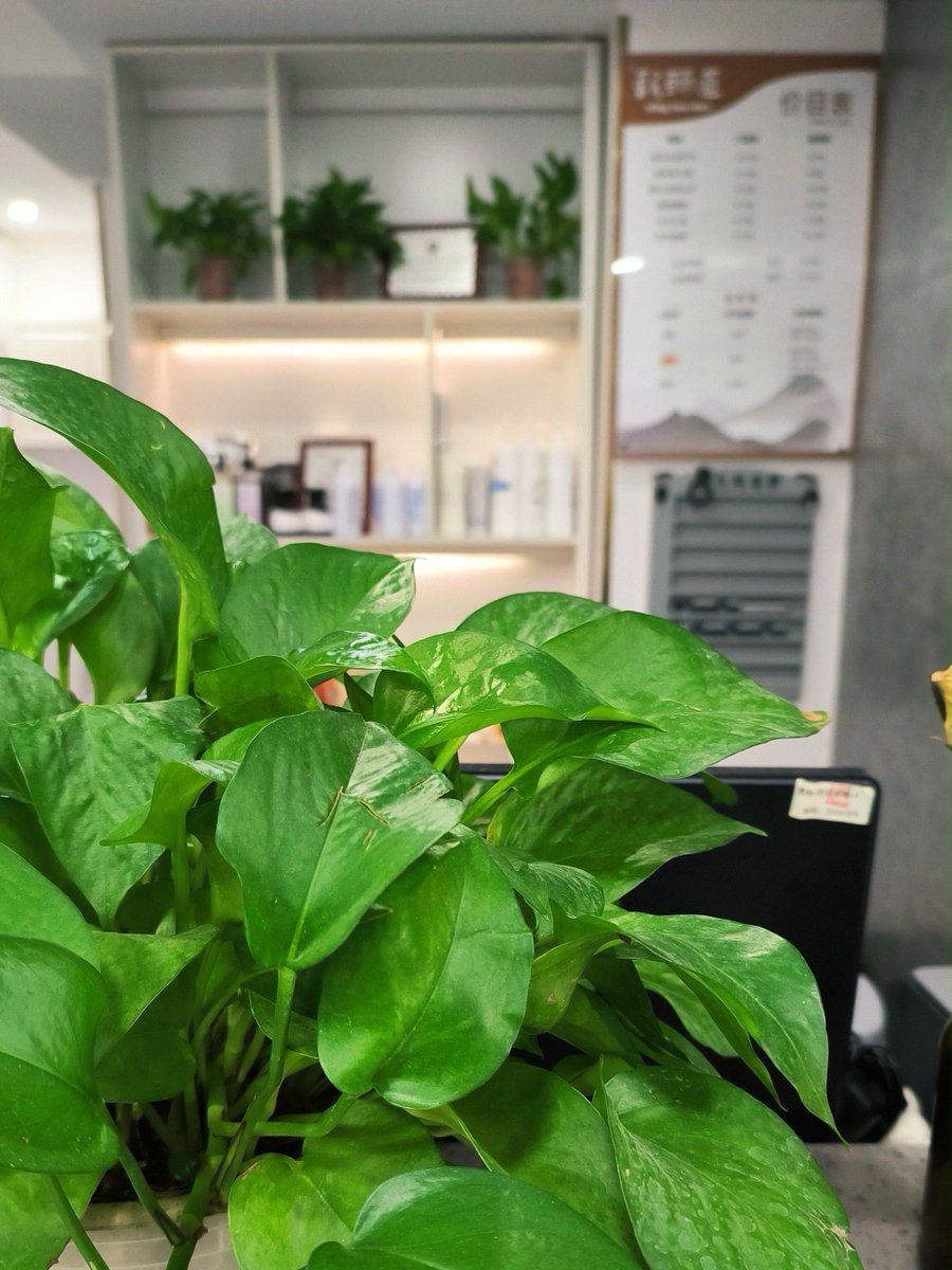 24_005's tweet photo. [Just hit the 3pm slump so hard my eyes are fixed on the office plant… it’s judging me, I can feel it.  #WorkModeOff #3pmSlump]， https://t.co/SFPlgcI20Y