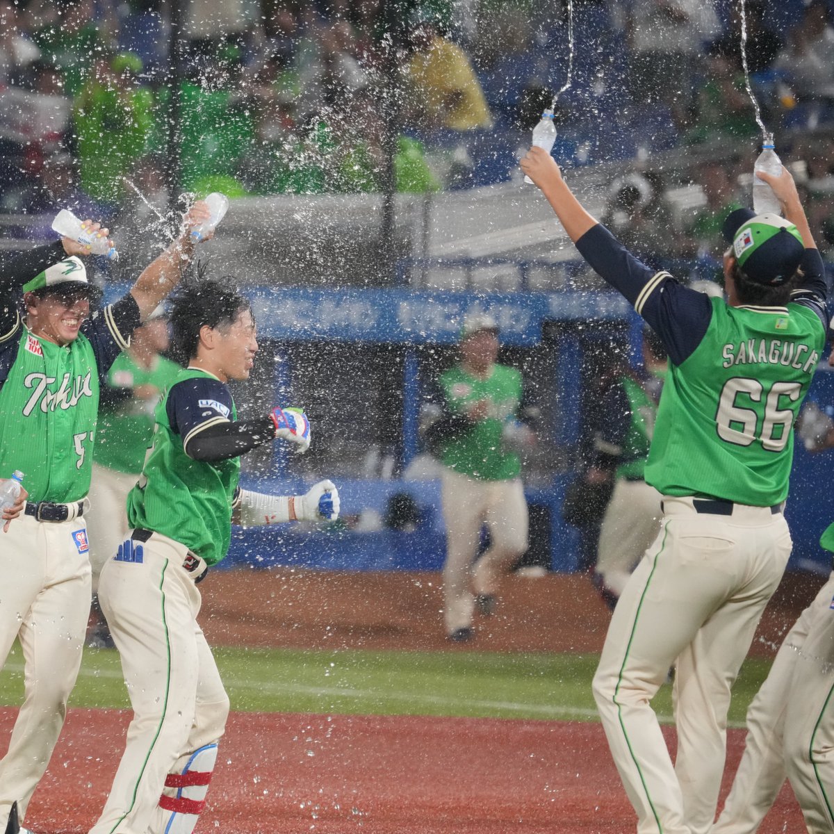 🐧棘(Toge) tweet media