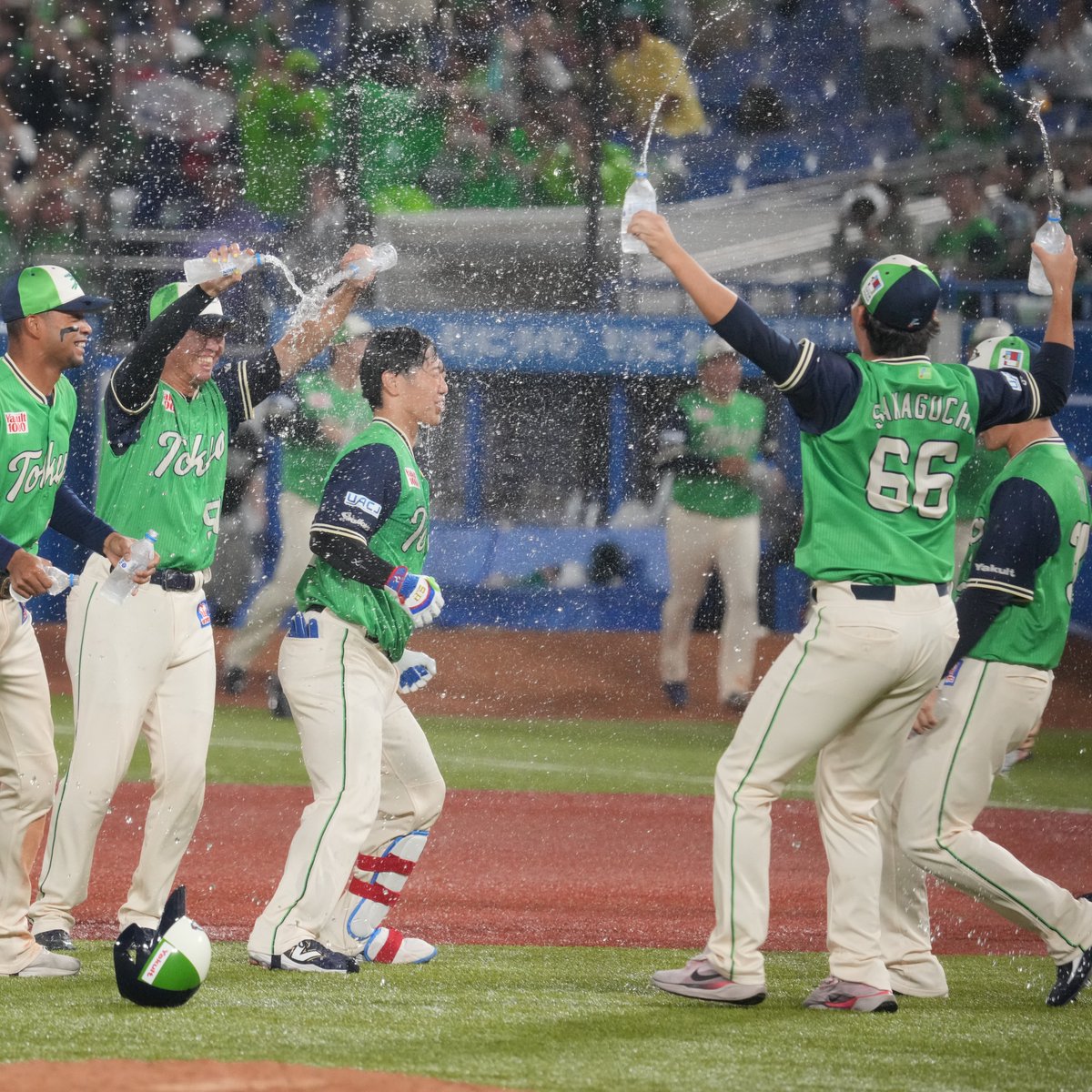 🐧棘(Toge) tweet media