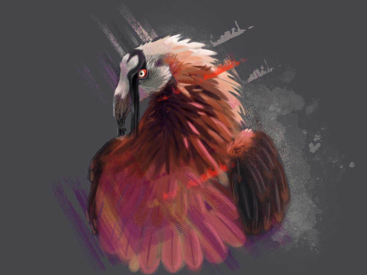 Hopenalive's tweet photo. I don't post on xitter often, but I do really want a #VGenCode if anyone has one. oh, and I do have a long history of posting on other platforms like on deviant art, under the name hopenalive. that account is 7 years old. https://t.co/469HraIT0N
