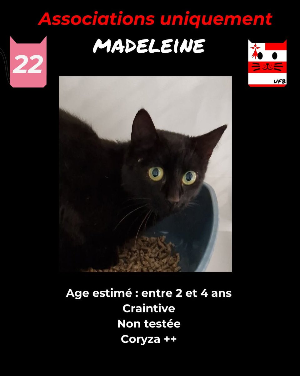 justineducern's tweet photo. Je suis toujours sans solution de sauvetage
Mon délai fourrière est dépassé, même si je suis sortie de fourrière pour soins et traitement dans une famille d'accueil temporaire de UFB.
Seule une association peut me sauver en me prenant en charge.
Contact:
https://t.co/slH9bNcPgQ https://t.co/i39Tsq62YB