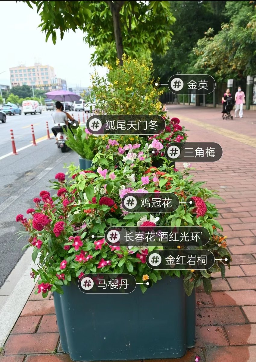 Tibbi12's tweet photo. Join our neighborhood plant swap this Sat (10am-2pm) at the community garden! Bring extra plants, take new ones u0026 make friends. Free u0026 open to all!， https://t.co/z6A0cOb1Az