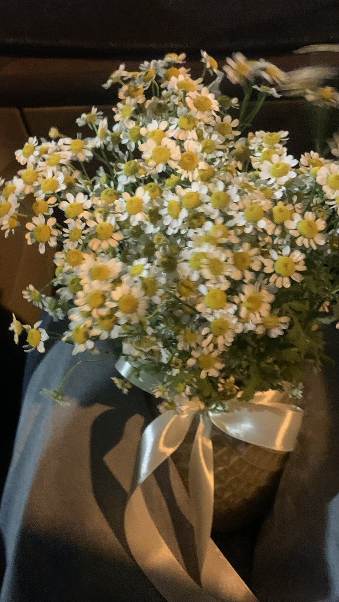 feridaaaaaa's tweet photo. بلاخره اون جمع لعنتی جمع شد https://t.co/kVdZkBzsyb