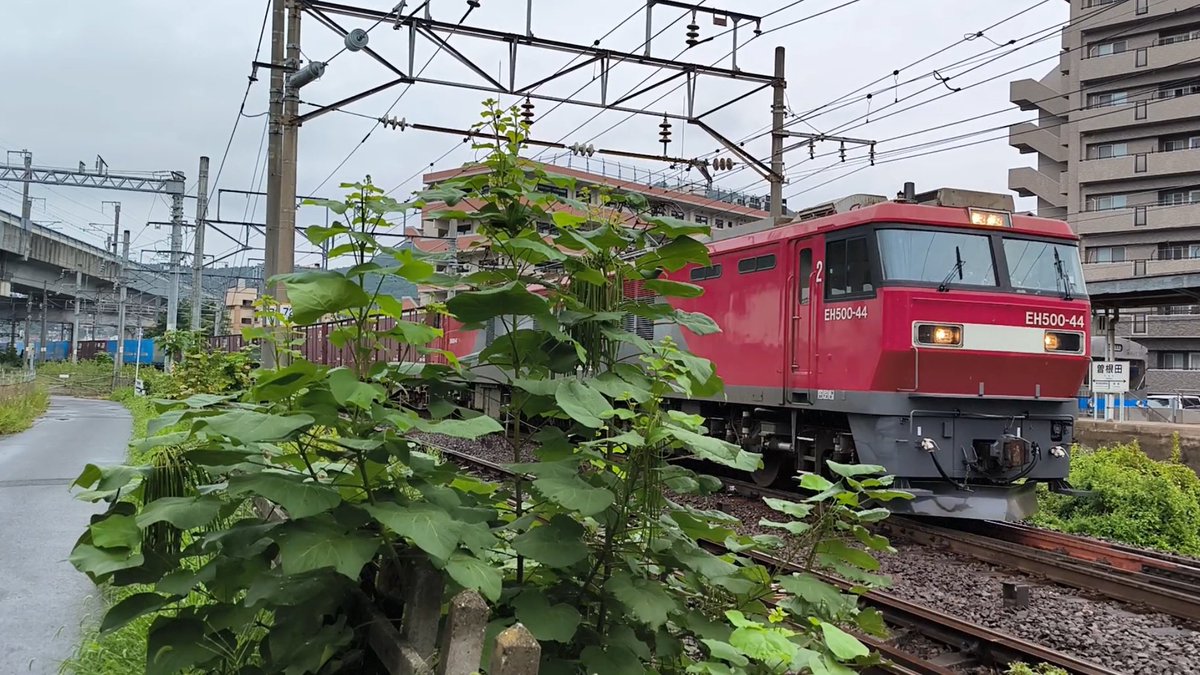 Trainlike_Iwa's tweet photo. 2025/08/10
東北本線 福島駅付近
3054ﾚ(上り 札幌タ→隅田川·EH500-44牽引)
U28A 浪速運送×2
U33A FL
U54A ディーライン×2連
UV53A ロードリーム札幌(白)
UF44A ランテック
UR19A SBSロジコム/富良野通運
…など https://t.co/vMC72Lovvb