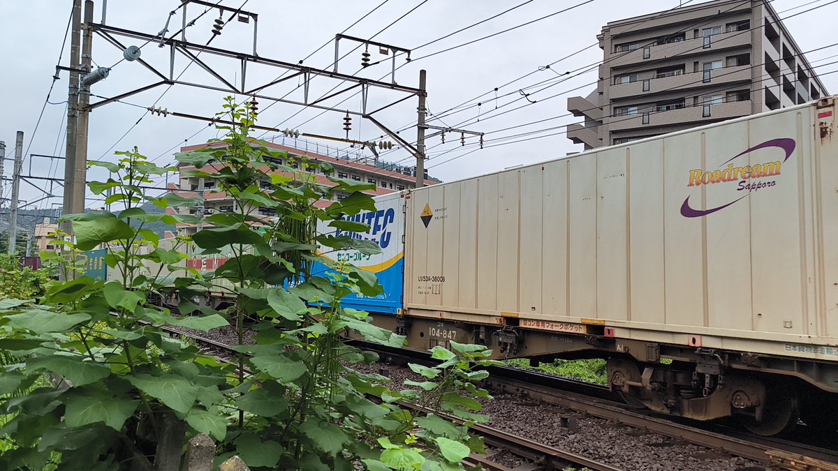 Trainlike_Iwa's tweet photo. 2025/08/10
東北本線 福島駅付近
3054ﾚ(上り 札幌タ→隅田川·EH500-44牽引)
U28A 浪速運送×2
U33A FL
U54A ディーライン×2連
UV53A ロードリーム札幌(白)
UF44A ランテック
UR19A SBSロジコム/富良野通運
…など https://t.co/vMC72Lovvb