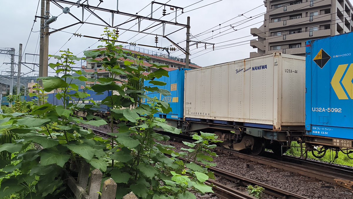 Trainlike_Iwa's tweet photo. 2025/08/10
東北本線 福島駅付近
3054ﾚ(上り 札幌タ→隅田川·EH500-44牽引)
U28A 浪速運送×2
U33A FL
U54A ディーライン×2連
UV53A ロードリーム札幌(白)
UF44A ランテック
UR19A SBSロジコム/富良野通運
…など https://t.co/vMC72Lovvb